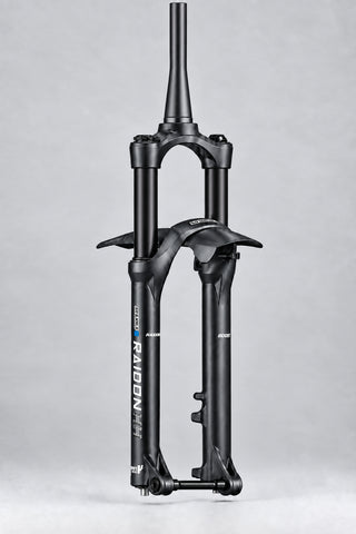 SF25 RAIDON34-Boost EQ 2CR DS 15AH4 110 29